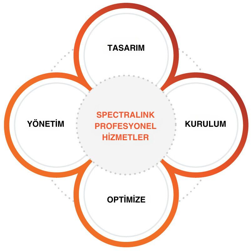 spectralink profesyonel hizmetler